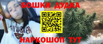 МДПВ Пугачёв