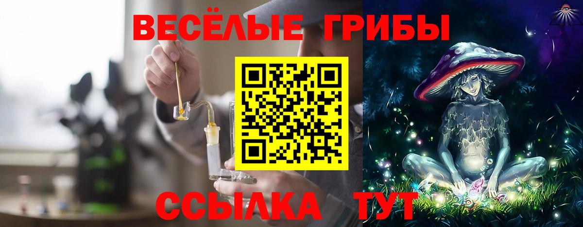 Павлово  Псилоцибиновые грибы мухоморы  как найти закладки  Псилоцибиновые грибы мицелий  Вход с VPN 